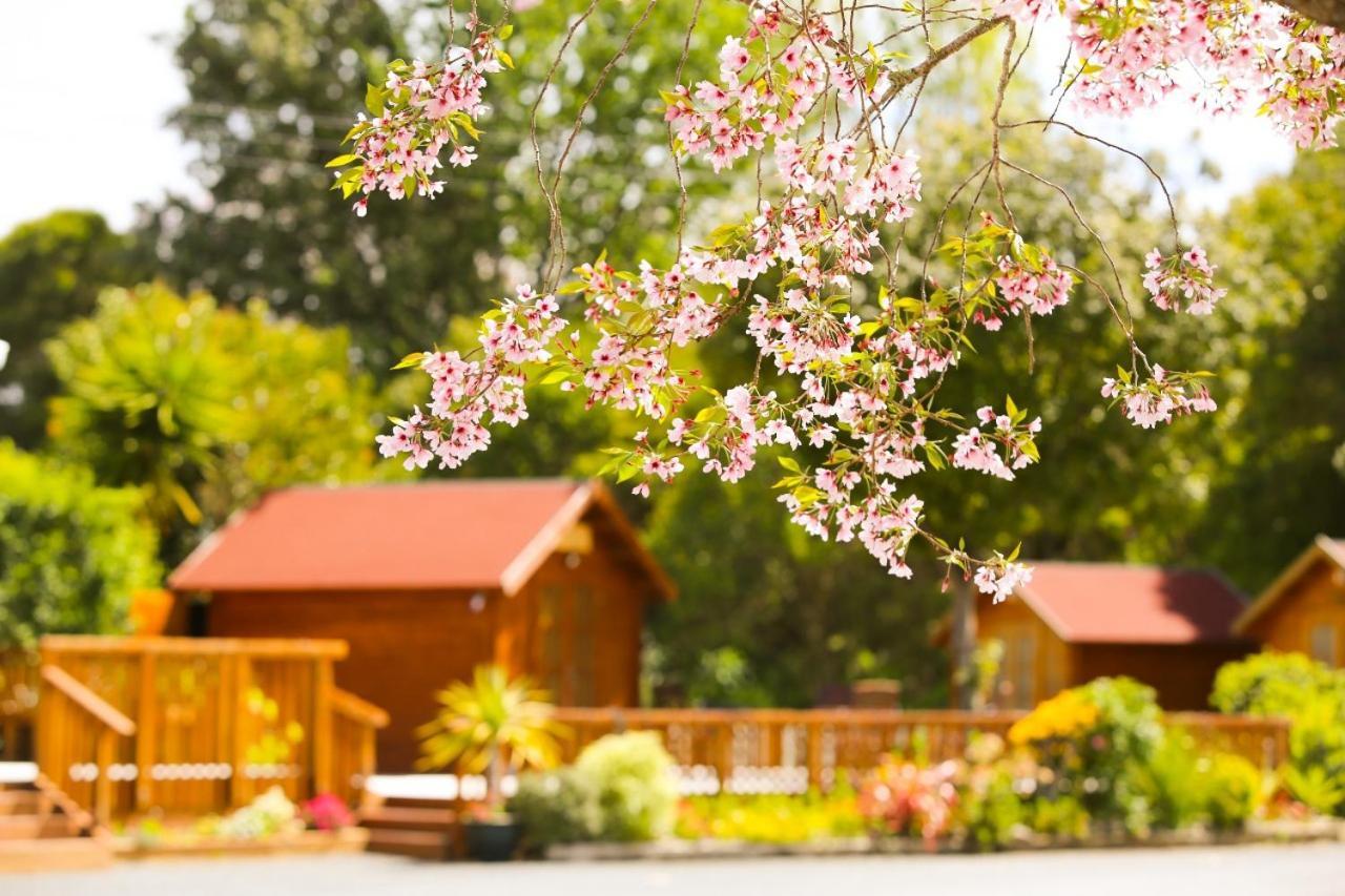 Orere Point Top 10 Holiday Park Окленд Экстерьер фото